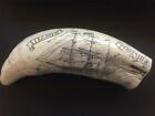 Set Of Three Scrimshaw Reproduction Whale Teeth Limited Time Listing   