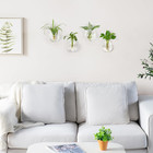 Propagation Wall Hanging Planter Glass Terrarium Flower Vases Holder For Indoor