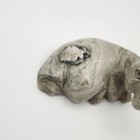 Miniature Hand-carved Stone Hippopotamus Sculpture Inuit Style Original Animal F