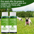 New Hydro Mousse Liquid Lawn House Hold Seeding System Spray Seed Grass To Shoot
