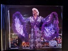 Wwe Ric Flair Signed 8x10 Photo Beckett Bas Authenticated