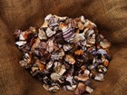 500 Carat Lots Of Zebra Jasper Rough   A Free Faceted Gemstone