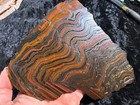Banded Iron Formation Stromatolite Cyanobacteria Tiger Iron W  Australia 8   