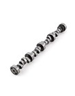 Ford Sb 289 302 351 Windsor Hydraulic Roller Camshaft 242 Int  248 Exh  Duration