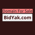 Bidyak  com   Domains For Sale   Business Brand  Website Name   Namecheap