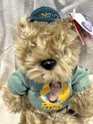 Vintage 2000 Nsync Justin Timberlake Limited Edition Rare Bear Plush Green Hat