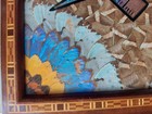 Vintage Masonic Serving Tray Blue Morpho Butterfly