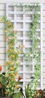 72  Tall White Hard Wood Square Framed Ladder Trellis Flowering Vines Support
