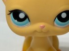 Lps Littlest Pet Shop Authentic Yellow Shorthair Cat Brooke  339