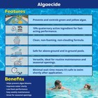 In The Swim Algaecide For Swimming Pools     Green And Yellow Algae Preventative    