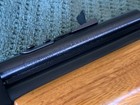 Beautiful Crosman 180 Air Rifle 2nd Variant With Amazing Wood  Must See 