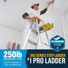Werner 6 Ft  Aluminum Step Ladder  10 Ft  Reach Height  With 250 Lb  Load Capaci