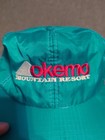 Vintage Embroidered Okemo Mountain Resort Snapback Hat Teal