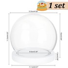1set Glass Dome Cover Tive Display Case Cloche Bell Jar Terrarium With Wood Base