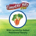 Kaytee Timothy Naturally Grown Hay Plus W  Carrots For Small Animal Pets  24 Oz
