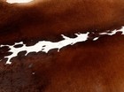 New Cowhide Rugs Area Cow Skin Leather 16 33 Sq feet  49 x48   Cow Hide M1104