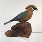 Vintage Hand Carved And Painted Waxwing Bird Driftwood Knot Folk Art Signed