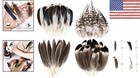 Assorted 120pcs Natural Feathers For Diy Wedding   Party Decor - 2-6 Inches Long