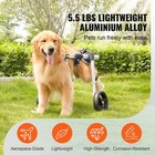 2 Wheels Pet Wheelchair For Back Legs Dog Wheelchair cart Adjustable m 
