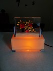 Vintage Lucite Mid-century Modern Mcm Retro Art Deco Encased Roses Lamp Unique 