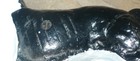 Cast Iron Boston Terrier Dog Left-facing Heavy Door Stop