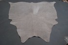 100  New Cowhide Rugs Area Cow Skin Leather  52  X 48   Cow Hide Sa-118