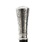 Classic Straight Silver Shoehorn Silver Plated Handle Wood Shaft Abs 50cm