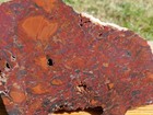 Tcr Tabu Tabu Jasper agate lapidary Rough Slab 375 Grams