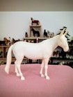 Maria Bonita Campolina Mule Venti Resin