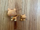 Authentic Littlest Pet Shop Tiger Mom   Baby Duo Lps Cute