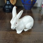 Vintage Cast Iron White Rabbit Still Bank 6  1 Lb 10 Oz Used Good Coin Bank 