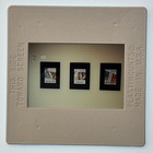 Vintage Large Format Color Slide Food Nutrition Posters  hair Food  Art Display