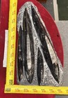        Nice Orthoceras Plate 9    X 5    Polished Devonian Fossils 3 Pounds 8 Ounces
