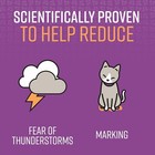 Sentry Pet Care Calming Collar For Cats 3-count