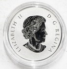 2019 Canada Maple Leaves  10  9999 Fine Silver Coin W  Ogp