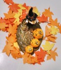 Wee Forest Folk    pumpkin Serenade    Halloween Mouse W singing Jack-o-lanterns