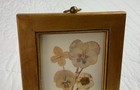 Vintage Pressed Dried Flower Art  Gold Tone Frame  Hand Made