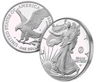 250th Anniversary Us Marine Corps Privy American Eagle 1 Oz Silver Coin