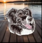 2 25  Border Collie Canine Dog Breed Embroidery Applique Patch