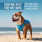 Canada Pooch - Chill Seeker Dog Cooling Vest  Breathable Mesh Material  Aqua  8