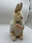 Eden My First Peter Rabbit  Bunny Rabbit Plush Beatrix Potter Carrot F  Warne 7 