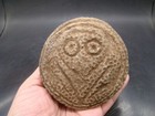 Taino Pre-columbian C 1000-1500 Ad Nice Carved Big Shell Seal  50 Photos  T5397