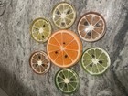 Vtg Lucite Retro Maximalist Fruit Slice Trivet And Coasters Set Mid Century Mcm