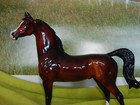 Peter Stone Traditional Arabian Highly Customized