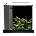 Fluval Spec Aquarium Kit - Black - 2 6 Gallon - Desktop Glass Aquarium - 10515