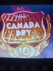 14k  3 5g Solid 14k Gold  10 Year Canada Dry Employee Award Pin