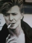 David Bowie Hand Signed 8x10 Autograph Photograph With Coa   Matching Sticker 