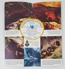 1960s Pottersville Ny Stone Bridge Caves Mystic Echo Vintage Travel Brochure