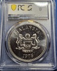 Malaysia 25 Ringgit Conservation Hornbill Bird Ms67 Pcgs Silver Coin 1976