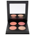 Weekender Palette By Youngblood For Women - 0 6 Oz Makeup
